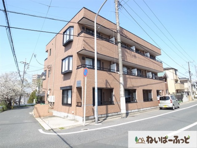 【外観】 | アルファヴィレッジ | 明るいマンションですね☆アルファヴィレッジ