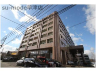 ベルヴィオウミの画像