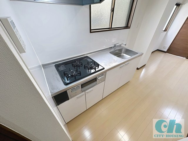 リッツ大森北 301号室のキッチン