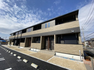 ユウスゲの画像