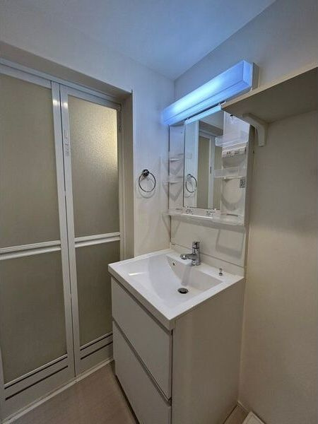 ハーモニーテラス新今里Ⅲの洗面所