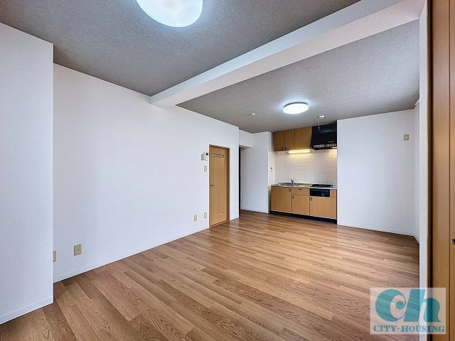 石川ビル 201号室の居間・リビング