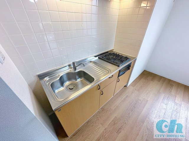石川ビル 201号室のキッチン