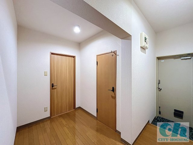 石川ビル 201号室の玄関