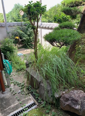 【庭】 | 福岡県久留米市城島町城島