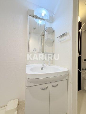 グランデュール大今里西の洗面所