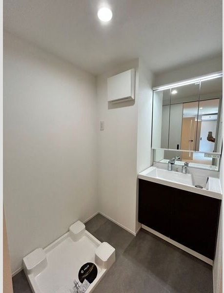 Jack nekoyaⅠの洗面所|広い洗面スペース