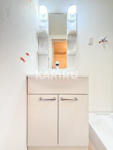 フジパレス　リュクスの洗面所