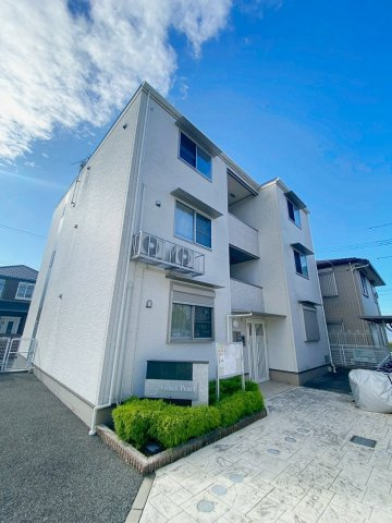 グレイス　パール