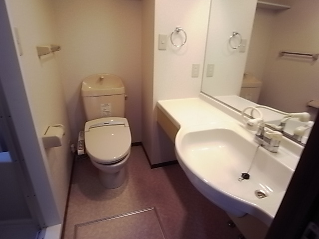 シャルマンコート北野の洗面所