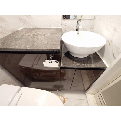 【洗面所】 | アムス早稲田（旧La Blancheur 早稲田）