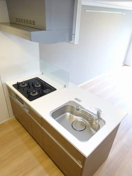 ラフィスタ蒲田南Ⅱのキッチン