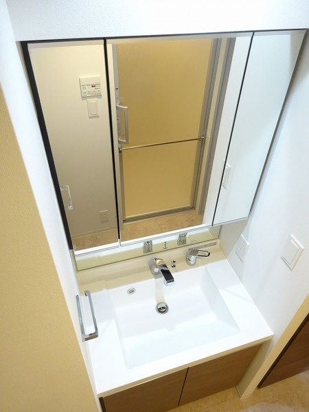 ラフィスタ蒲田南Ⅱの洗面所