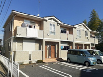 ノーヴァトワーレ　Ｂの画像