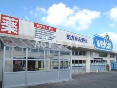 【周辺】 | プリムローズ | ウエルシア上尾栄店まで850m