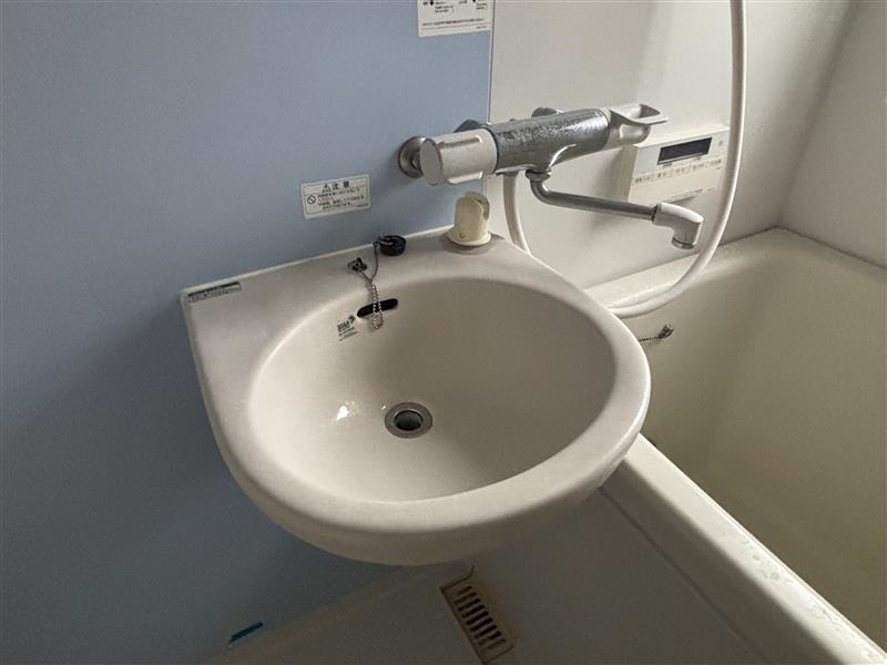 シティハイムハイグリーンの洗面所