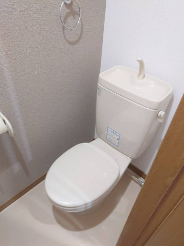 セリュー・トーレのトイレ