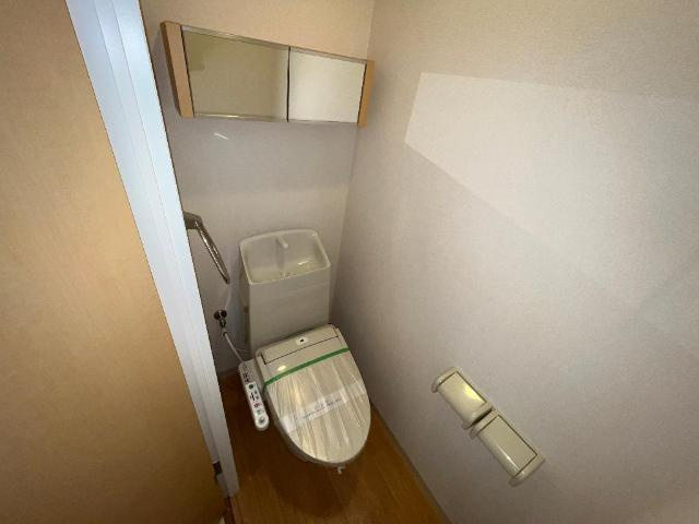 神戸市北区有野中町１丁目の賃貸マンションのトイレ|トイレ