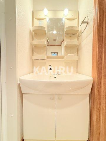 ウエストサイドリバーⅡの洗面所