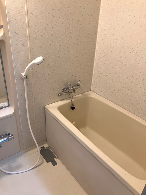 ダイアパレス・ビッグウィング深谷の浴室