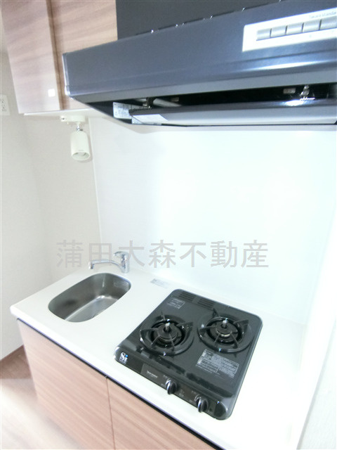 DIPS南六郷のキッチン|2口ガスシステムキッチン