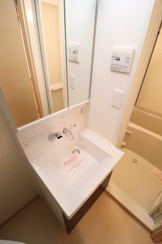 コリーヌベルメゾンSの洗面所