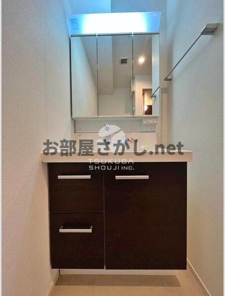 ルミークアン千駄木【ペットOKの28㎡超の1R×文京区】の洗面所