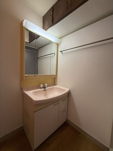 住之江コーポ1号館の洗面所