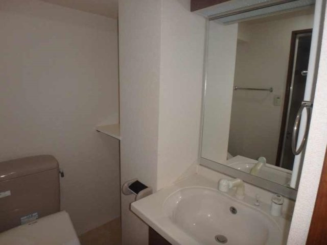 シンシア六本木の洗面所