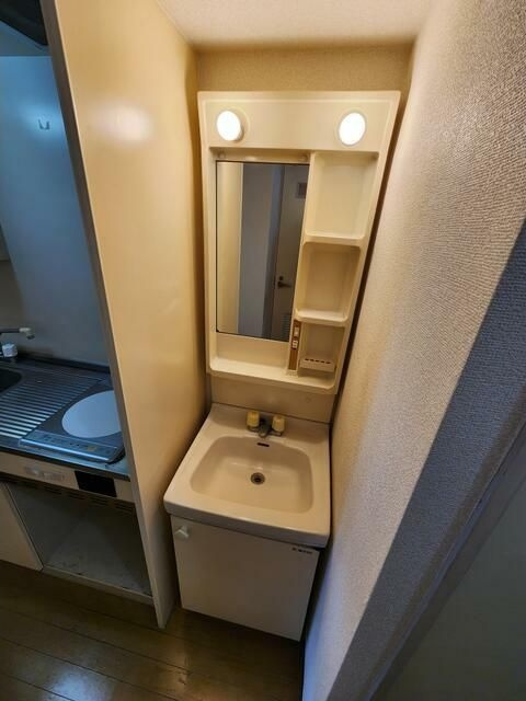 シャインドミールの洗面所