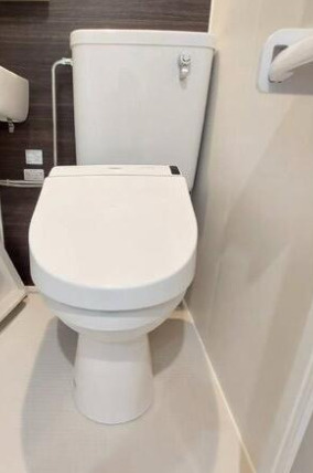  プラチナフォルム上野秋葉原Ⅱのトイレ