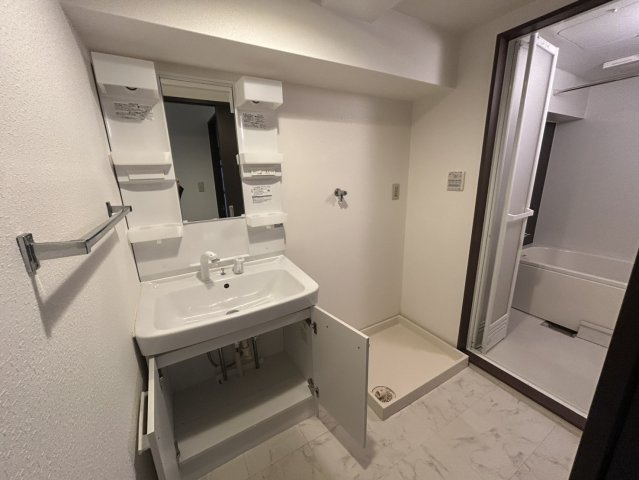 グランドメゾン船場の洗面所