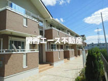 セレニテの画像