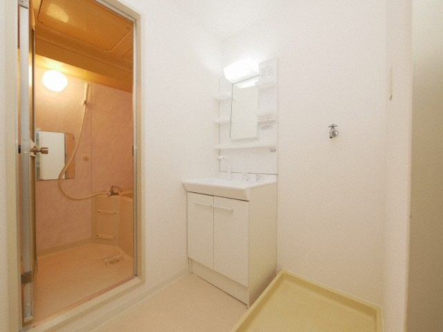 ラパンジール恵美須２の洗面所