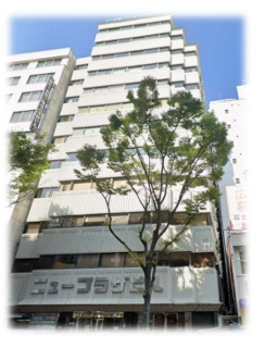 ニュープラザビル