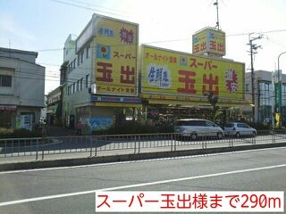 ジュネス５番館の周辺|スーパー玉出様まで290m