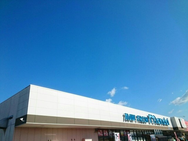 アイリィー　ビューの周辺|万代様まで260m