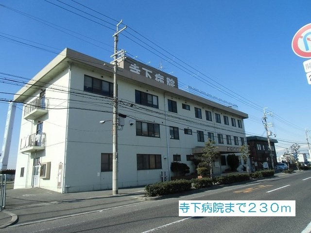 アンジュ　ド　ルミエールの周辺|寺下病院まで230m