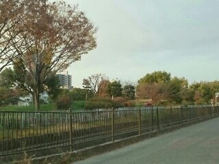 グレンディール　ティニーの周辺|船堂公園まで690m