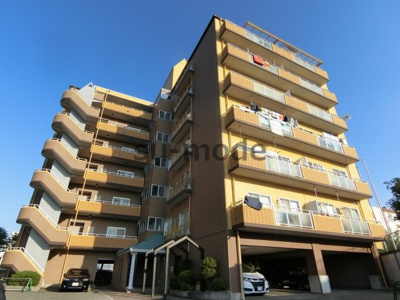 【外観】 | サンフォーレ辰巳