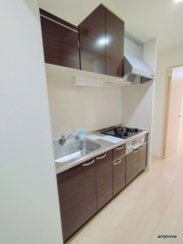 アーバンフラッツ心斎橋(旧La Douceur心斎橋)　仲介手数料無料のキッチン