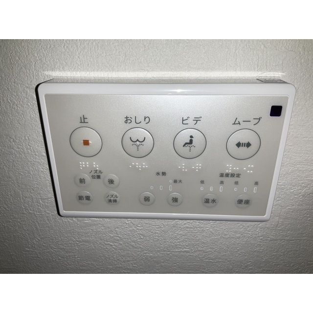 ANIMAL KINGDOMのその他