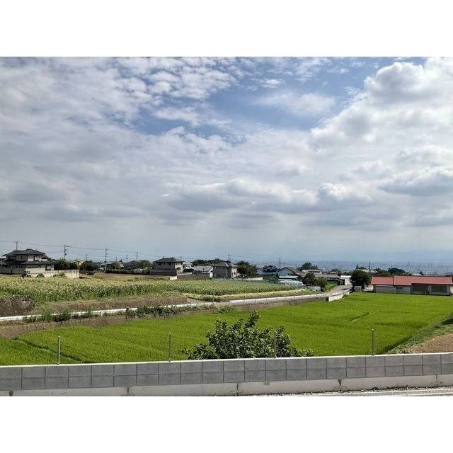 ANIMAL KINGDOMのその他