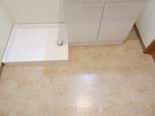 サンロイヤル大井の洗面所