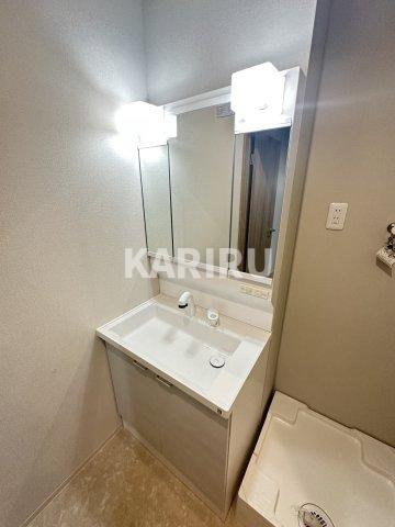 セイワパレス門真の洗面所