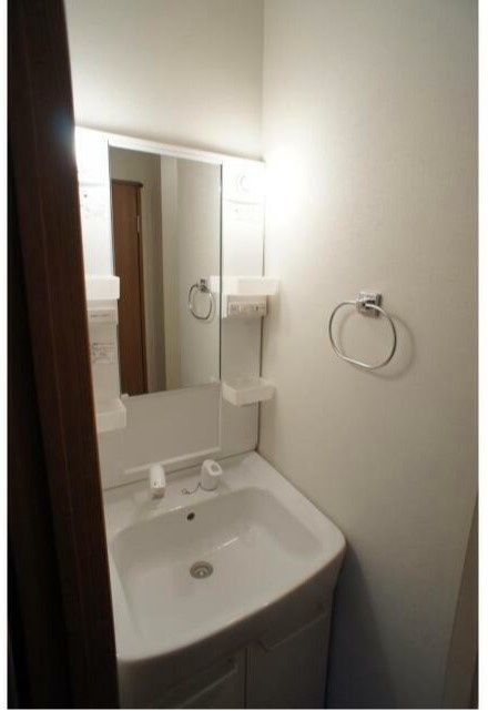 アパートメント両国緑の洗面所