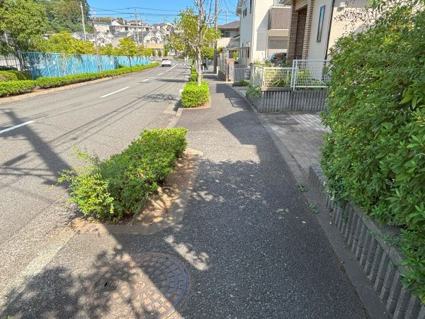 植栽が配置された歩道部分。