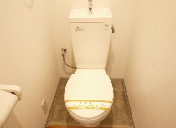 マルチプレックスXのトイレ|トイレ