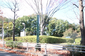 富士見台公園まで200ｍ
