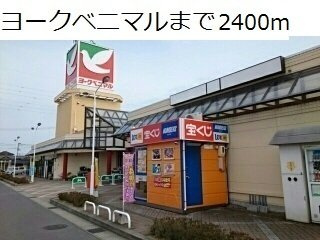 サニーガーデンⅥの周辺|ヨークベニマルまで2400m